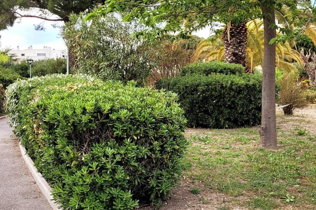 Comme A La Maison!!a 5 Min A Pied Plage,pkg Prive Apartment *
